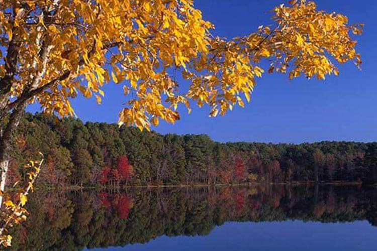 Lake Bob Sandlin State Park