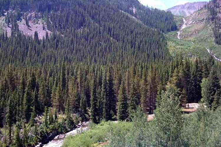 Oh Be Joyful Campground