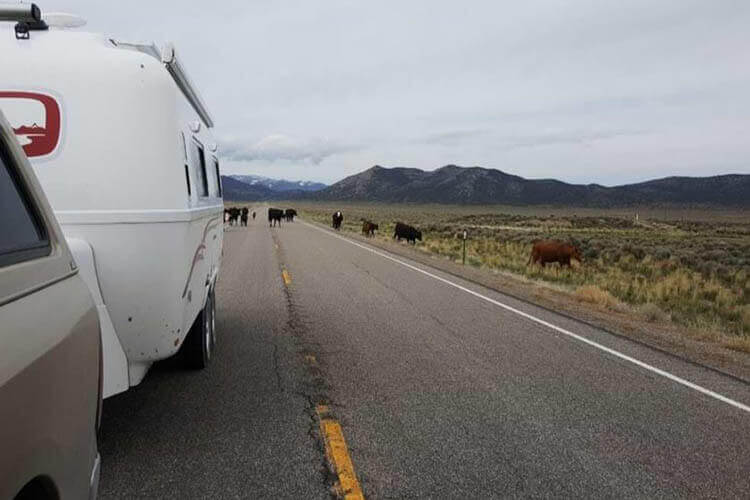 From Ruby Lake to Cathedral Gorge
