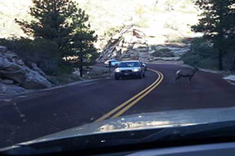 hundred mile drive to Elko