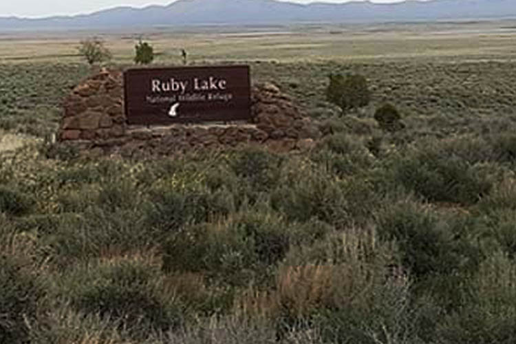 Ruby Valley contains the Ruby Lake National Wildlife Refuge