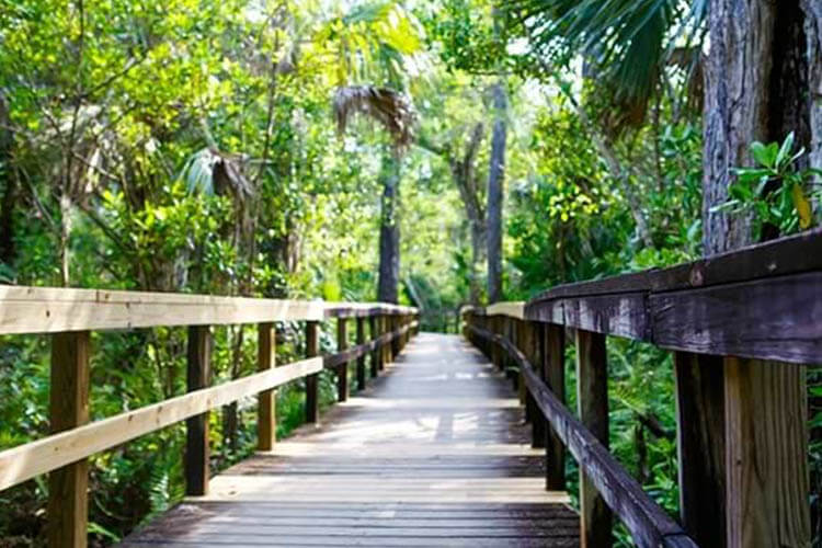 Blue Spring State Park