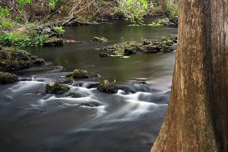 Hillsborough River State Park