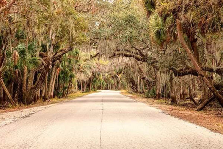 Myakka River State Park