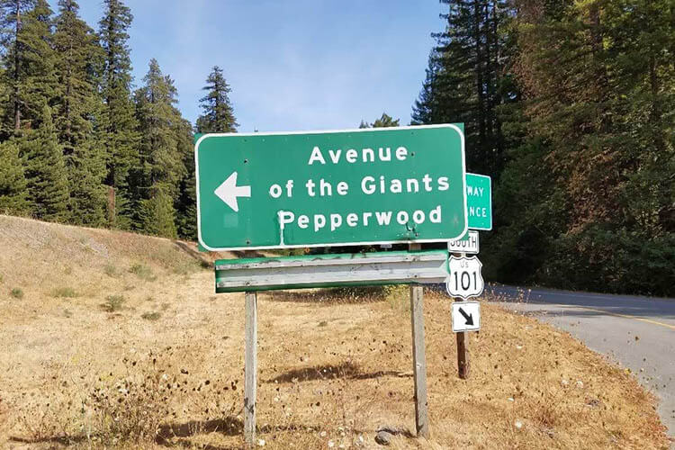redwood road sign