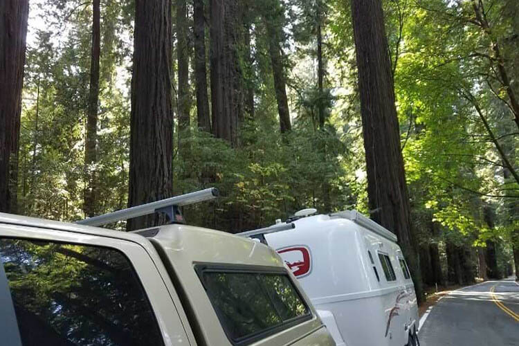 redwoods camping