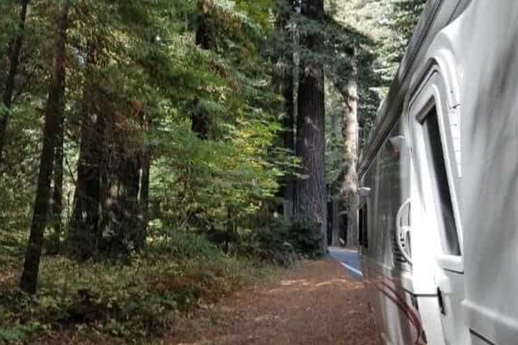 rv camping redwoods