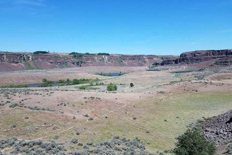 return trip from scablands
