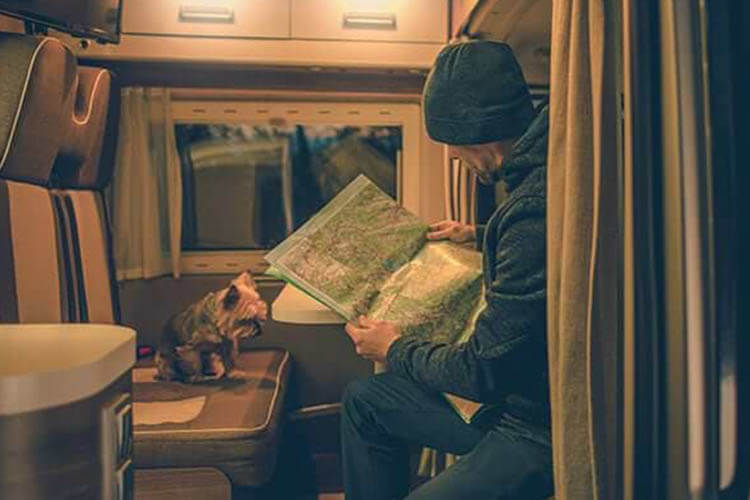 Modify Your Trip Itinerary to Include Your Pets