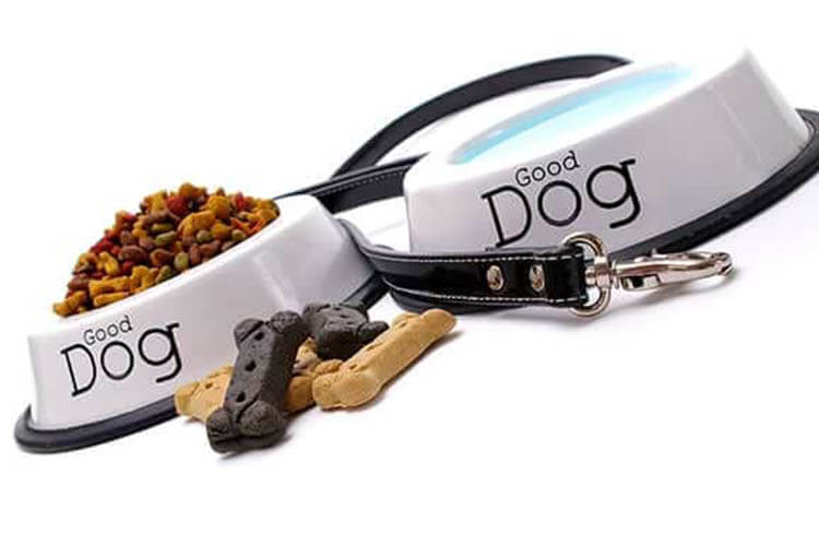 Prepare Your Pet-Friendly Gear in Advance