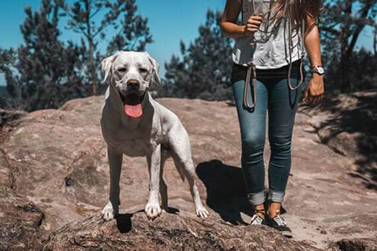 Keep Good Notes to Update Plans for Future Trips