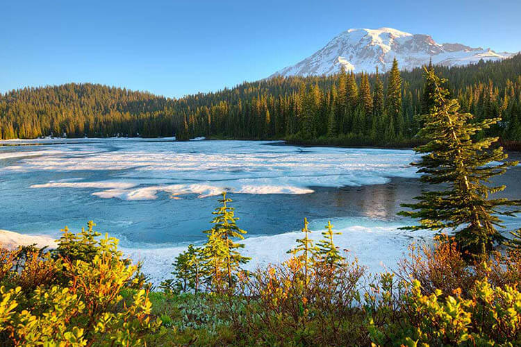 Washington State Mount Rainier