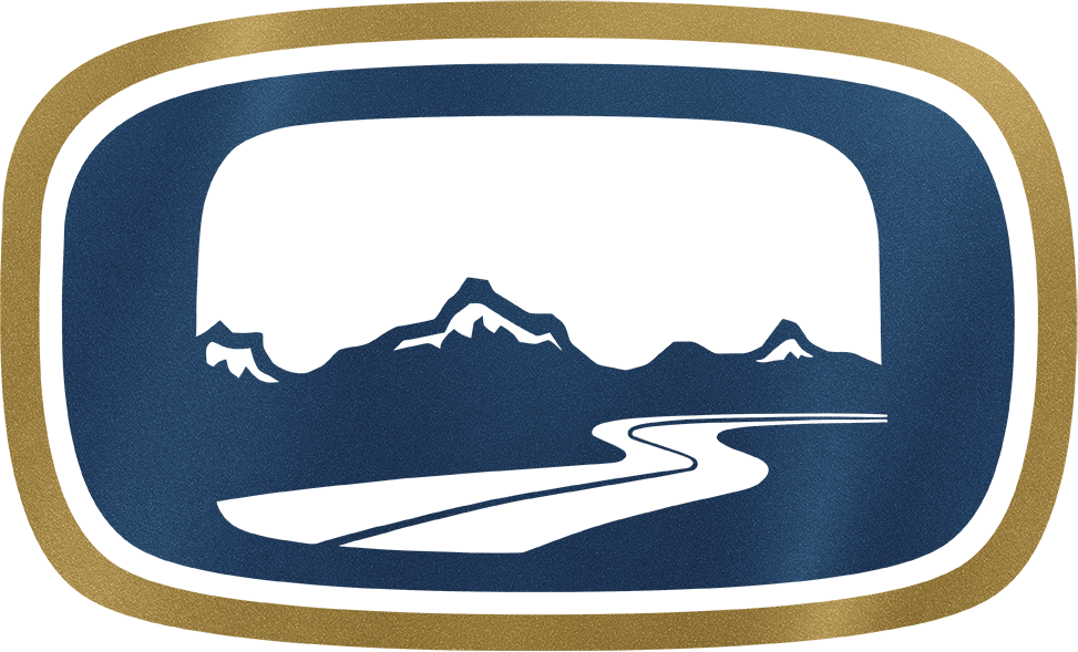 midnight metallic gold color