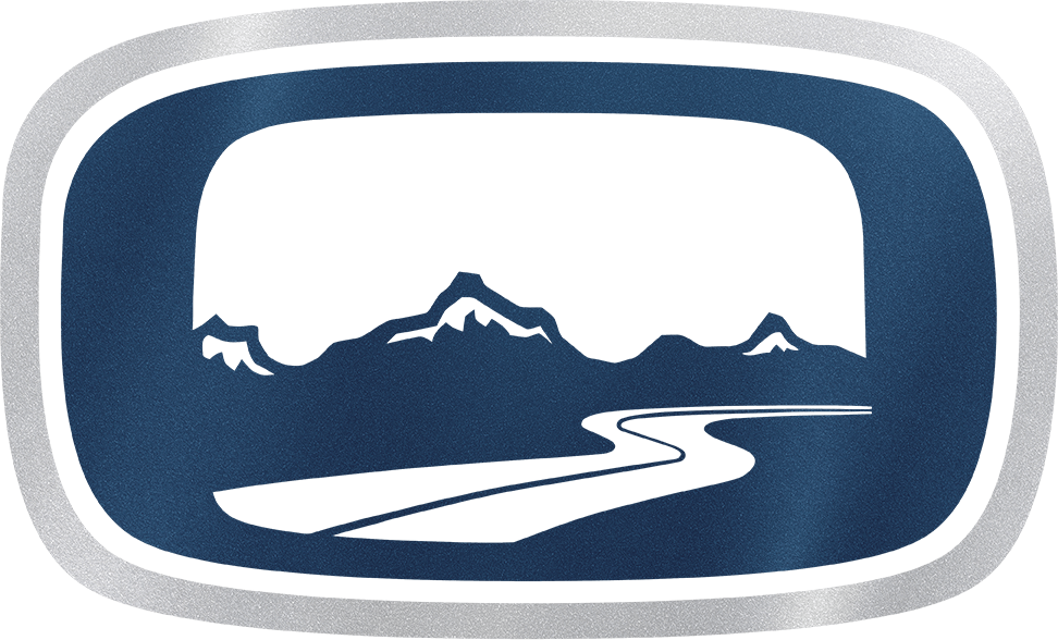 midnight metallic silver grey color